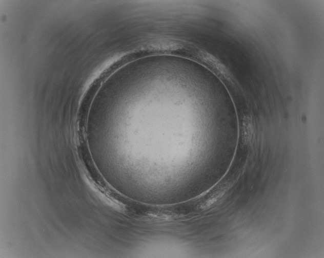 X0000062600726200512211109