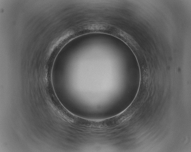 X0000062600727200512211109