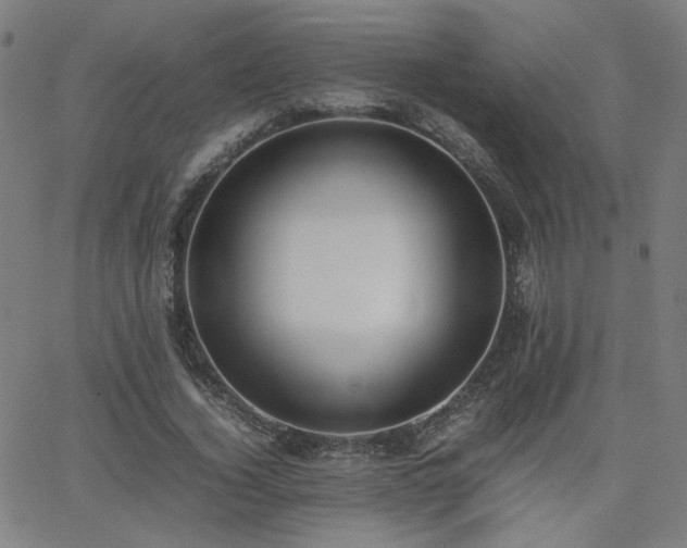 X0000062600732200512211110
