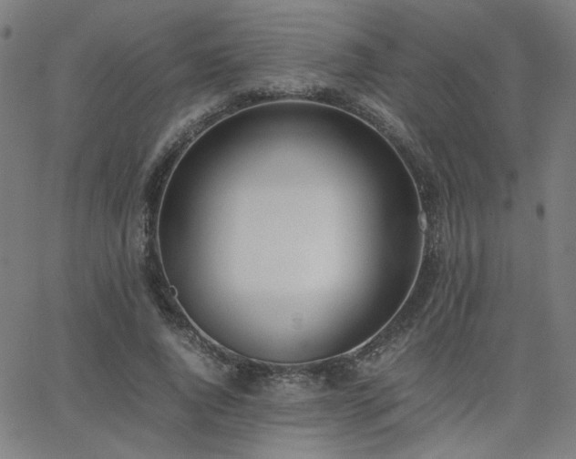 X0000062600736200512211110