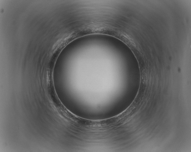 X0000062600740200512211110