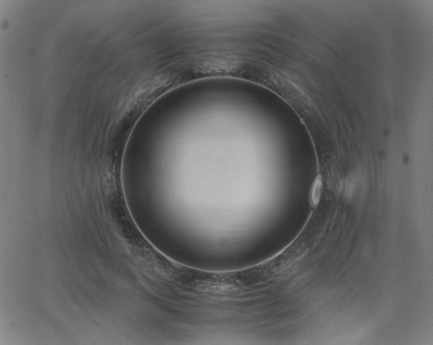 X0000062600743200512211110