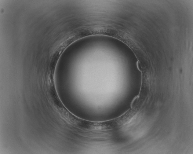 X0000062600746200512211110