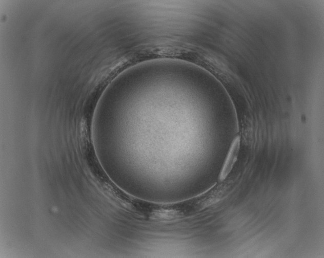 X0000062600748200512211110