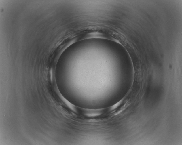 X0000062600750200512211110
