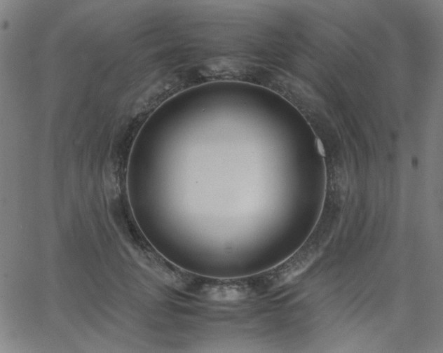 X0000062600751200512211110