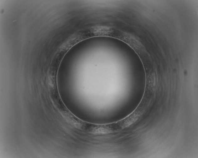 X0000062600755200512211110