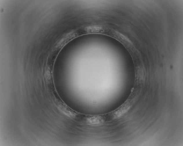 X0000062600761200512211110
