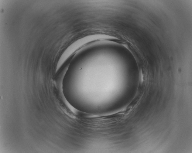 X0000062600766200512211110