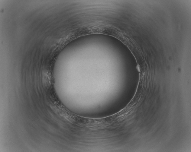 X0000062600772200512211109