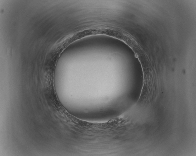 X0000062600773200512211109