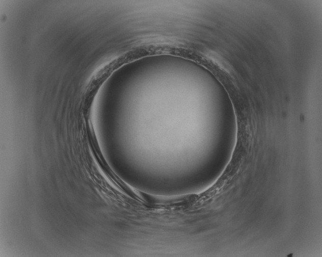 X0000062600775200512211109