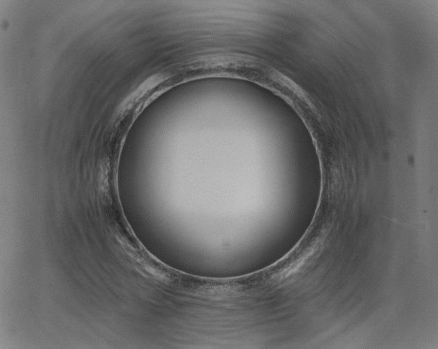 X0000062600778200512211109