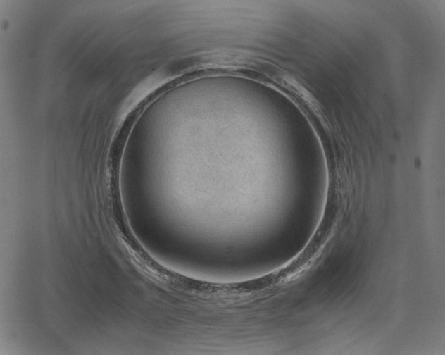 X0000062600779200512211109