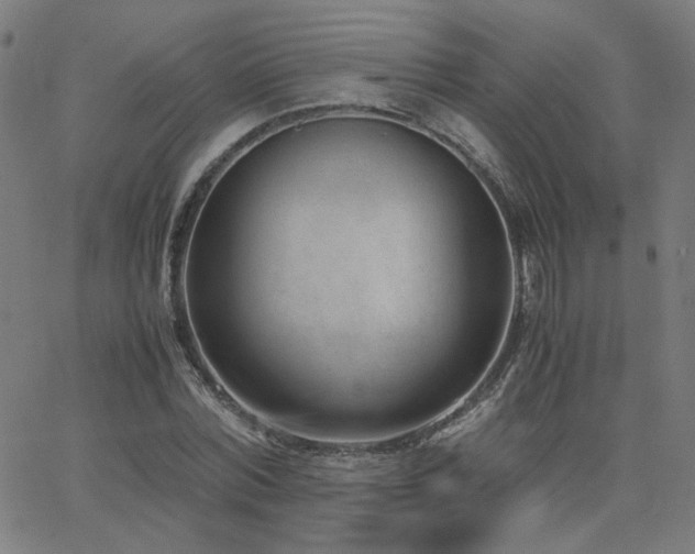 X0000062600780200512211109