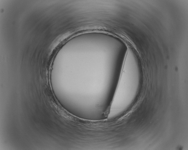 X0000062600781200512211109