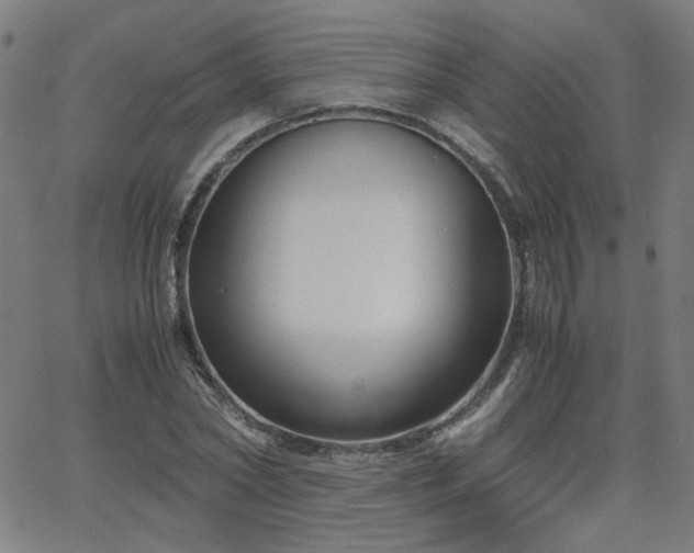 X0000062600782200512211109