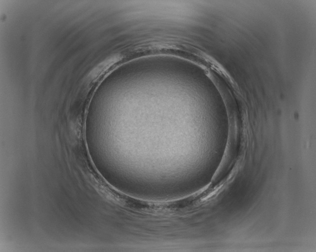 X0000062600785200512211109