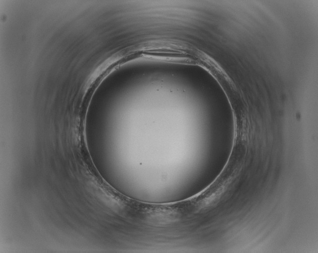 X0000062600786200512211109