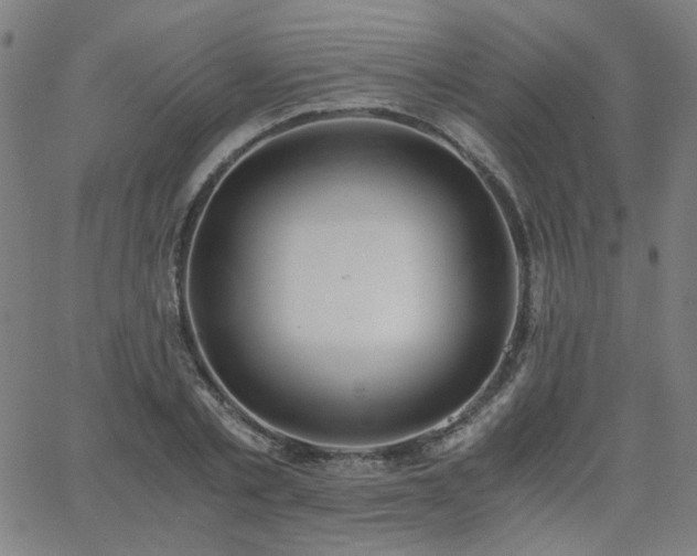 X0000062600789200512211109