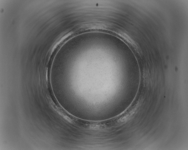 X0000062600790200512211109