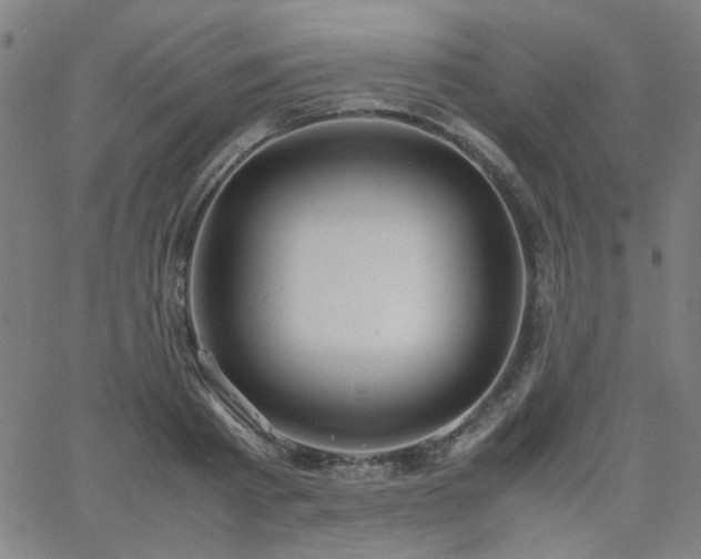 X0000062600793200512211109