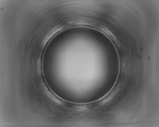 X0000062600798200512211109