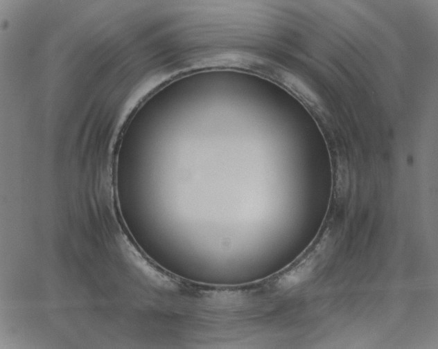 X0000062600800200512211109