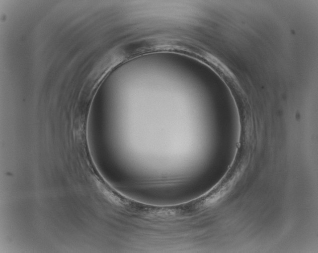 X0000062600801200512211109