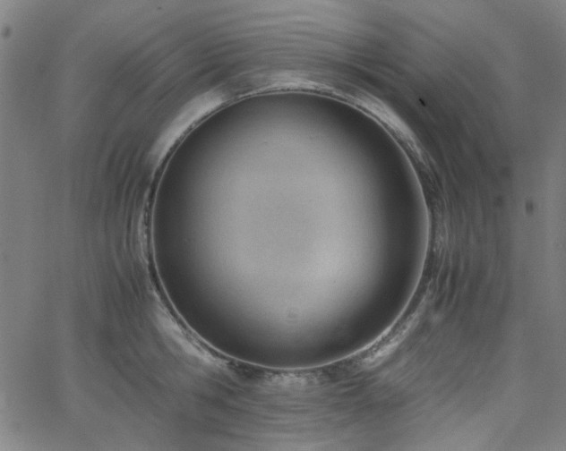X0000062600806200512211109