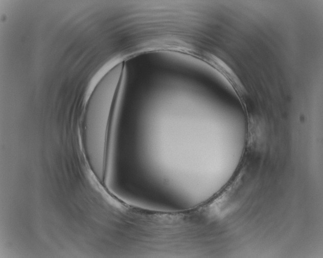X0000062600812200512211109