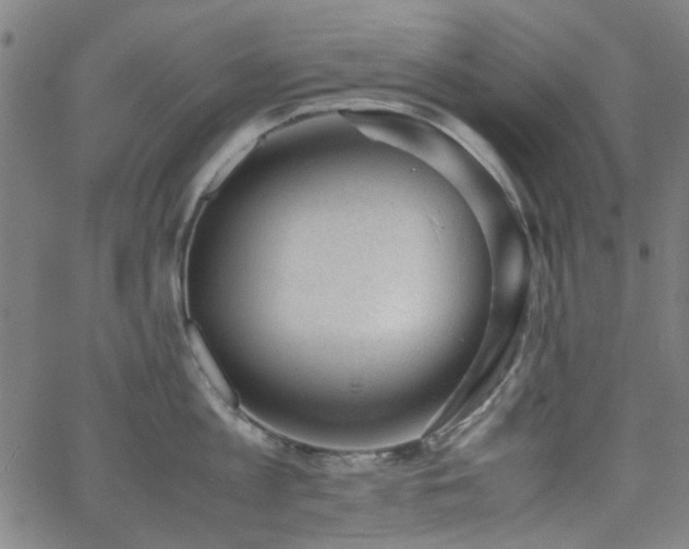 X0000062600813200512211109