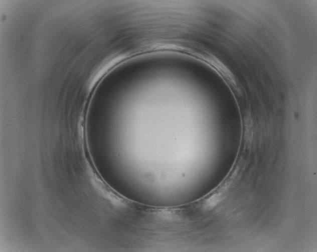 X0000062600814200512211109
