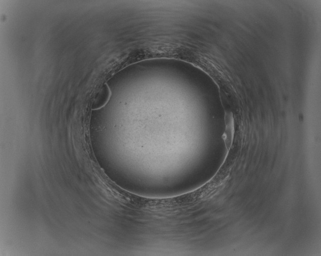 X0000062600817200512211108