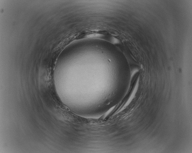 X0000062600818200512211108