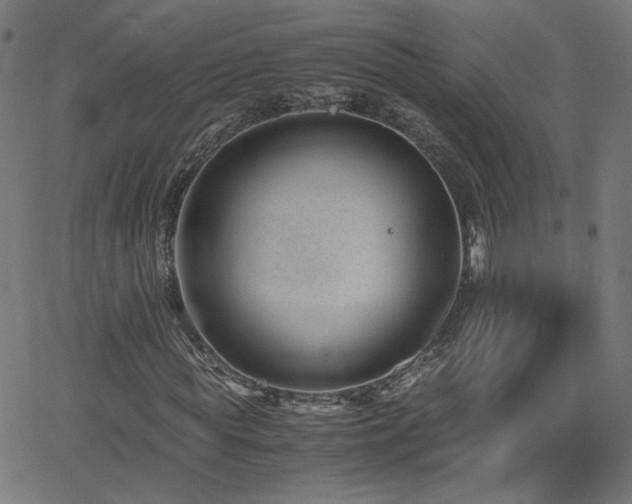 X0000062600819200512211108