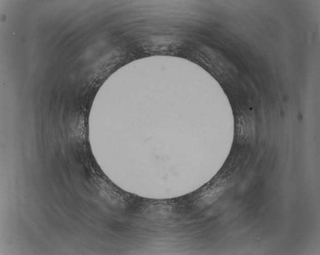 X0000062600820200512211108