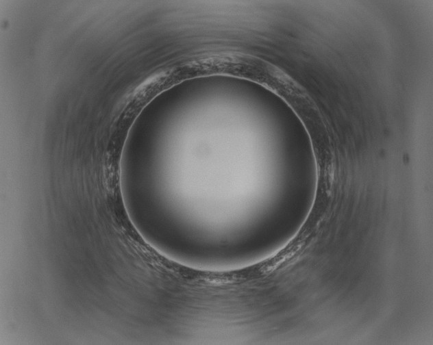 X0000062600822200512211108