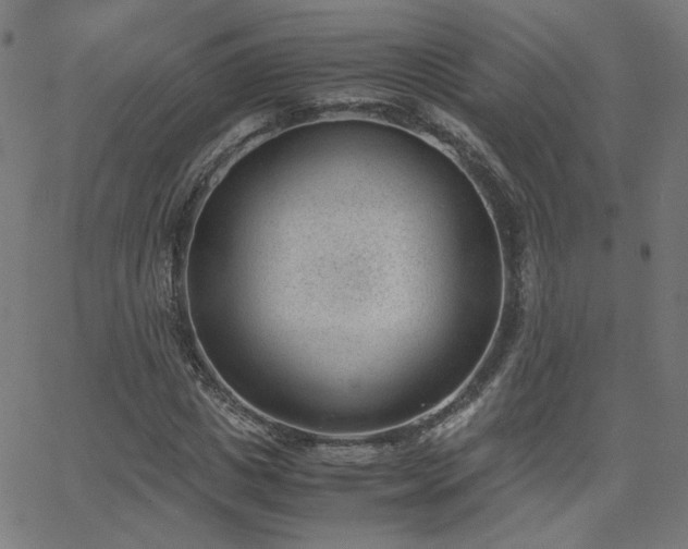 X0000062600825200512211108