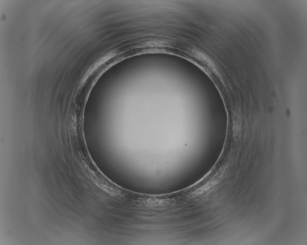 X0000062600827200512211108