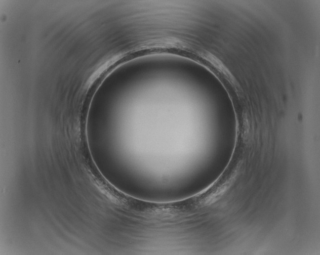 X0000062600834200512211108