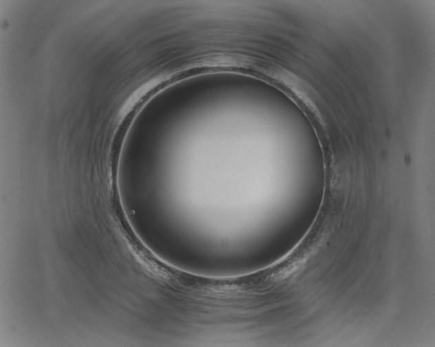 X0000062600837200512211108