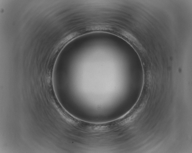X0000062600841200512211108