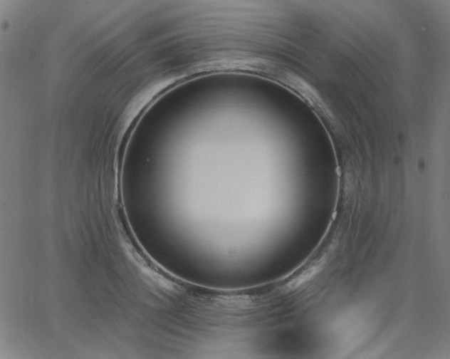 X0000062600844200512211108