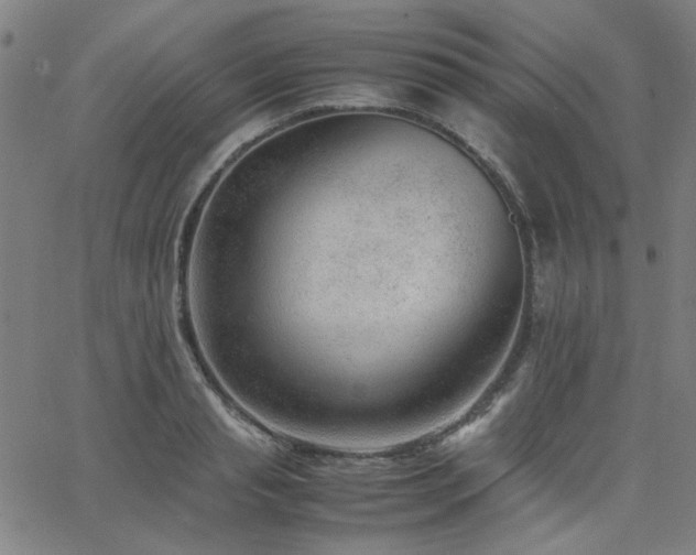 X0000062600845200512211108