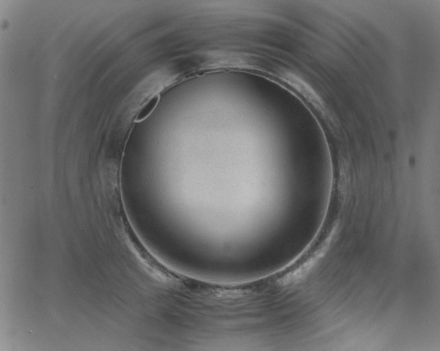 X0000062600849200512211108