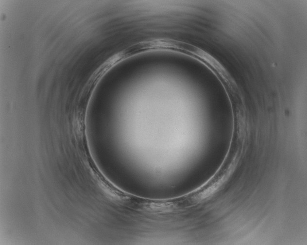 X0000062600857200512211108