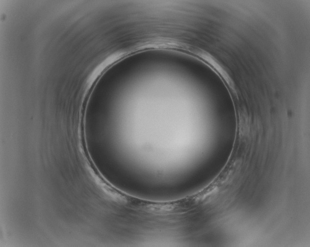 X0000062600861200512211109