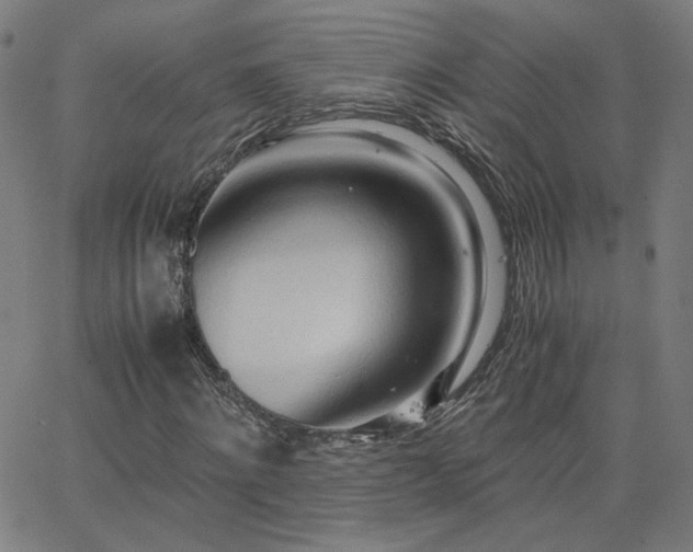 X0000062600868200512211108