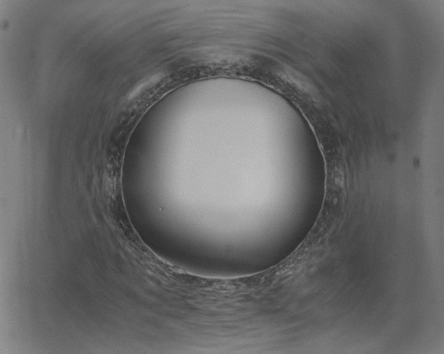 X0000062600869200512211108